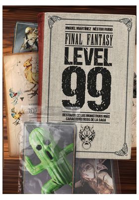 FINAL FANTASY: LEVEL 99