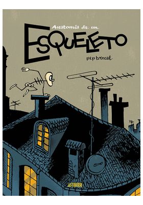 ANATOMIA DE UN ESQUELETO