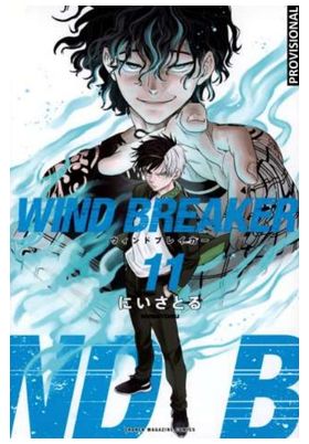 WIND BREAKER 11 (WIND BREAKER 11)