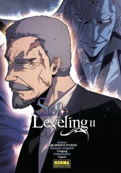 SOLO LEVELING Nº 11